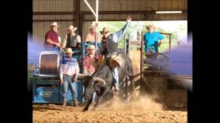 Bull Wagon Train by Tony Justice [upl. by Eelnyl]