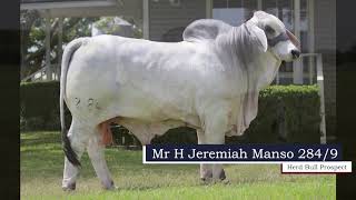 Mr H Jeremiah Manso 2849 [upl. by Lapointe380]