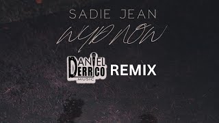 Sadie Jean “WYD Now” Daniel Derrico Remix [upl. by Isdnyl]