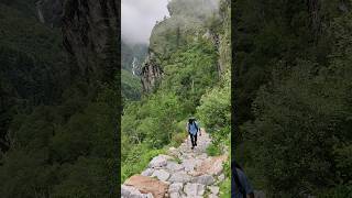 Valley of Flowers Trekking 🌷    youtubeshorts trekking valleyofflowers uttarakhand [upl. by Neelehtak552]