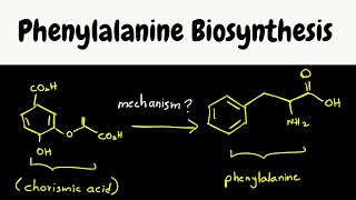 phenylalanine biosynthesis  biosynthesis part 8 [upl. by Jethro976]