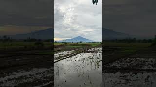 Pemandangan atap jawa barat gunung ciremai [upl. by Rosati]