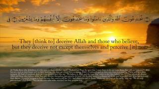 The Quran  Chapter 2 verses 120 Surah alBaqarah [upl. by Darda125]