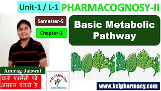 Metabolic Pathway Primary amp Secondary Metabolite  L1 Unit1  Sem5  PharmacognosyII [upl. by Er64]