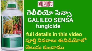 DUPONT GALILEO SENSA FUNGICIDE FYLL DETAILS IN TELUGU  BB agriculture Telugu [upl. by Attelra]