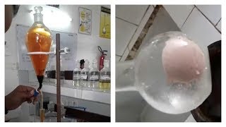 Preparation of Tribromophenol  Chemistry Practical  BSc Buddies [upl. by Uile]