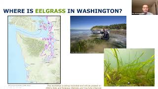 Kelp and Eelgrass Jan 31 2023 Workshop [upl. by Nwotna223]