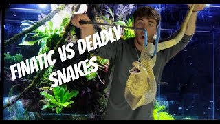 Fisherman handles deadly snakes finatic [upl. by Florenza]