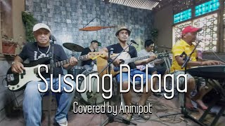 Susong Dalaga  Malaquias Band  Aninipot Cover [upl. by Bander597]