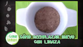 CÓMO REEMPLAZAR 1 HUEVO CON LINAZA  Comer Vegano [upl. by Josselyn27]