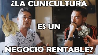 ¿Cómo hacer de la CUNICULTURA un NEGOCIO RENTABLE [upl. by Odella]