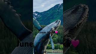 Juneau Alaska🩷 [upl. by Brace]