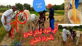 أجي تشوف كيفاش كنحرثو فالبلاد أملاكو كلميمة الراشيديةLe labour À Amellago Goulmima Errachidia vlog 2 [upl. by Deery666]