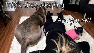 DOGS REACT TO OWNER FAINTING HILARIOUS REACTION DOG PRANK [upl. by Krik228]