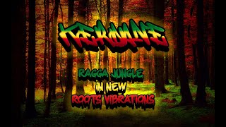 Ragga Jungle Drum amp Bass Mix  Ragga Jungle New Roots Vibrations Drum amp Bass Mix 2023 [upl. by Arawaj796]