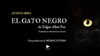 Audiolibro  El Gato Negro 1843  Edgar Allan Poe [upl. by Neirbo]