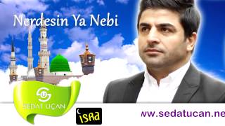 Sedat Uçan  Nerdesin Ya Nebi [upl. by Virgilia]