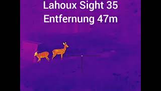 Lahoux Sight 35  Wärmebildzielfernrohr [upl. by Odette]