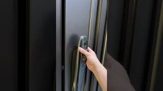 Light luxury simple and elegant shorts doors youtube interiordesign qualitydoor [upl. by Shwalb30]