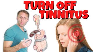 How to Stop Tinnitus Ringing in Ears for Good [upl. by Christoforo]