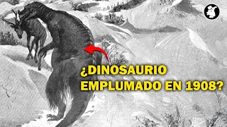 4 LEYENDAS SOBRE DINOSAURIOS VIVOS que debes conocer halloween [upl. by Osnofla]