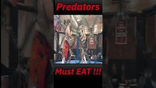 Predators Must Eat [upl. by Pen]