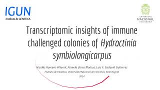 Transcriptomic Insights of ImmuneChallenged colonies of Hydractinia symbiologicarpus [upl. by Sylas]