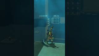 Shrine Shortcut The Legend of Zelda Breath of the Wild [upl. by Rebeca544]