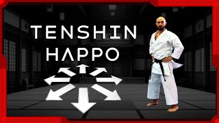 Tenshin Happo desplazamiento en 8 direcciones [upl. by Consalve903]