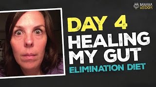 Day 4  Elimination Diet Healing Gut Inflammation [upl. by Petrine778]