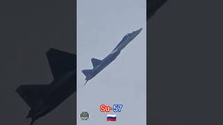 😐 Su  57 Falcon vs F 18 Super Hornet In Air To Air 🇷🇺🤜🤛🇺🇸😱 usaf fighterjet F18 raf su57 [upl. by Jerz145]