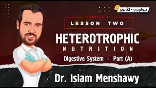 Lesson 3 I Heterotrophic Nutrition  Part A  Biology 2024 [upl. by Natalina]