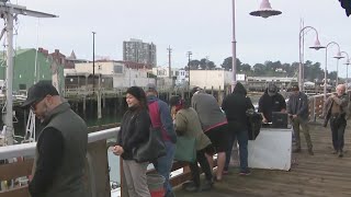 Catch and cook dungeness crab  how to catch crabs on Oregon coast [upl. by Esnohpla]