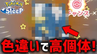 寝起きでポケスリ開いたら『高個体＆色違い』出現で一気に覚醒【ポケモンスリープ】 [upl. by Zohara]