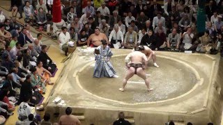 Yokozuna Hakuho 114  Yokozuna Harumafuji 114  Sumo  Natsubasho 15 [upl. by Kunkle765]