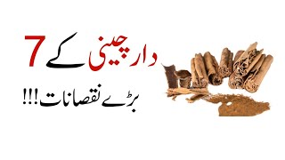 Disadvantages Of Cinnamon in Urdu  Daar Cheeni Ke Nuksan  MindfulLife0 [upl. by Shere]