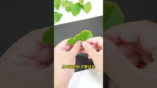 Use a ginkgo leaf to make a flying bird Handmade DIY ginkgo leaf leaf handmade [upl. by Lamar]