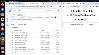 Upload Excel files data to SAP Hana Database Cloud using Node JS [upl. by Martz]