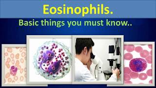 Eosinophils Basic things you must know [upl. by Snoddy]