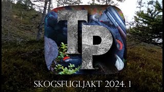 skogsfugljakt 2024  1 [upl. by Cati379]