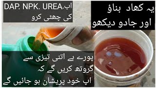 how to make fertilizer onion fertilizer youtube hrplantology trending fertilizer [upl. by Rossuck]