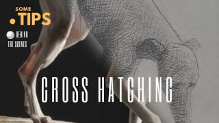 Cross Hatching  art tutorial [upl. by Terrill]