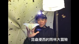 昆蟲擾西上課了！婆羅洲雨林大冒險 An Adventure in the Borneo Rainforests [upl. by Yahsan]