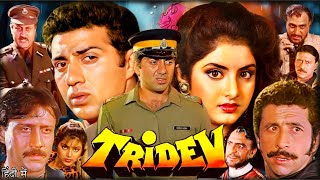 Tridev Full Movie  Sunny Deol  Madhuri Dixit  Jackie Shroff  Naseeruddin  Facts amp Review [upl. by Deevan]