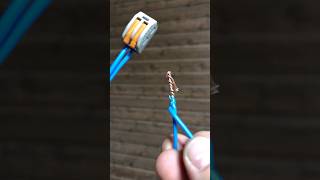 TWO WIRE CONNECTION OPTIONS tools shortvideo diy wago 220volt lifehacks satisfyingworkers [upl. by Eskill]