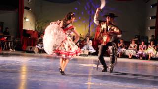 3° Cueca Campeones de arica 2014 [upl. by Sara]