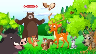 ANIMALI DEL BOSCO  NOMI E SUONI E VERSI REALI  VIDEO ANIMALI PER BAMBINI [upl. by Eyr]