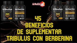 45 Beneficios de Suplementar Tribulus con Berberina [upl. by Nonnag154]