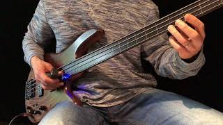 Meditative Fretless Bass Solo with Ebow  Walking White Shores [upl. by Rebhun]