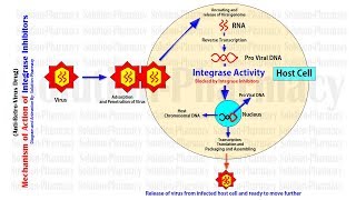 Antiviral Drugs  Integrase Inhibitor Antiretroviral Drugs Mechanism of Action  Antiviral Drugs MOA [upl. by Elleirua]